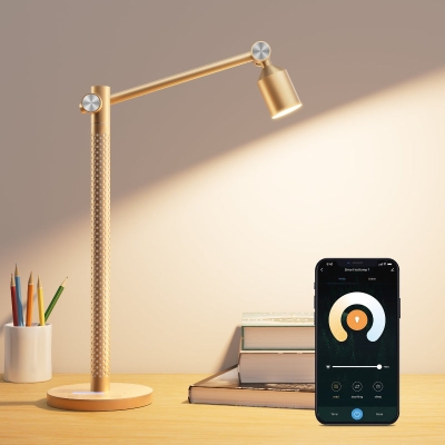 Smart Multi-Function Desk Lamp
